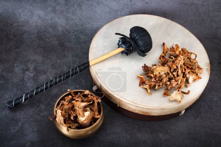 Téléchargez les photos : Tambourin naturel et champignon devant fond blanc - en image libre de droit
