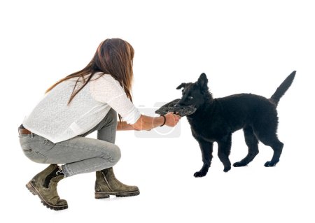 Photo for Young german shepherd and woman in front of white background - Royalty Free Image