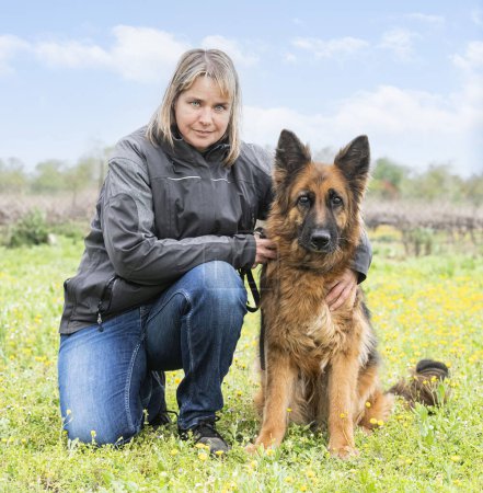 Photo for Old german shepherd and woman training for competition of obedience - Royalty Free Image