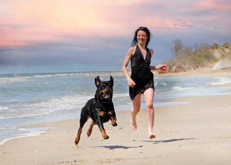 Téléchargez les photos : Purered rottweiler et femme à la plage en vacances - en image libre de droit