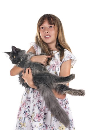 Téléchargez les photos : Maine coon chaton et enfant, en face de fond blanc - en image libre de droit