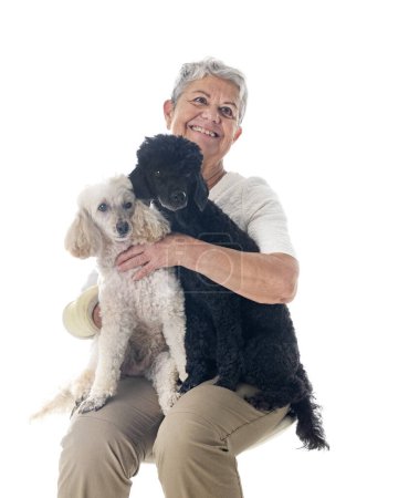 Photo for Senior woman and dogs in front of white background - Royalty Free Image