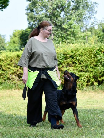 Téléchargez les photos : Dressage de chien pour l'obéissance discipline dans la nature - en image libre de droit