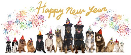 Téléchargez les photos : Groupe de chiens devant pour la nouvelle année de fond blanc - en image libre de droit