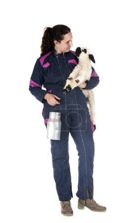 Photo for Lamb Valais Blacknose and woman farmer in front of white background - Royalty Free Image