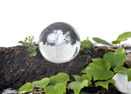 Téléchargez les photos : Sphère cristalline et sol devant fond blanc - en image libre de droit