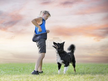 Foto de Entrenamiento de perros para la obediencia con una disciplina de frontera collie en la naturaleza - Imagen libre de derechos