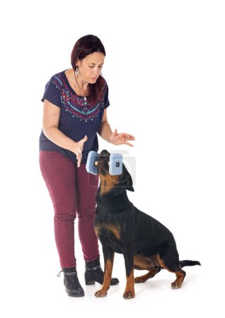 Photo for Purebred rottweiler and woman in front of white background - Royalty Free Image