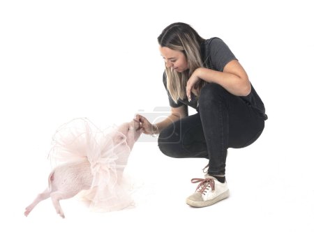 Téléchargez les photos : Cochon miniature rose et femme devant fond blanc - en image libre de droit