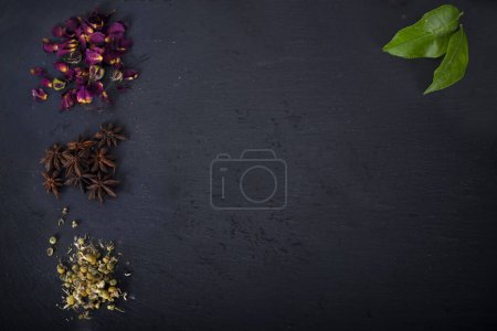 Téléchargez les photos : Ardoise avec espace texte avec fleur et plante - en image libre de droit