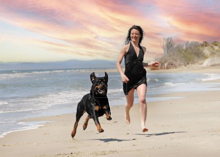 Téléchargez les photos : Purered rottweiler et femme à la plage en vacances - en image libre de droit