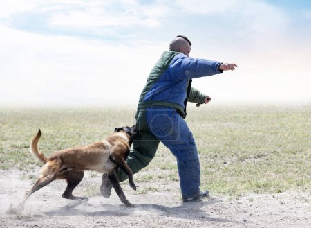 Téléchargez les photos : Formation des jeunes bergers belges dans la nature pour la sécurité - en image libre de droit