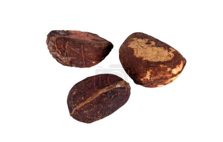 kola nuts in front of white background