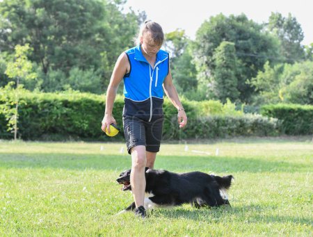 dog training  for obedience with a border collie discipline in the nature