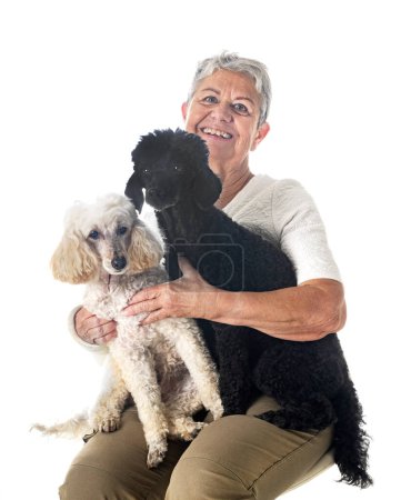 Photo for Senior woman and dogs in front of white background - Royalty Free Image
