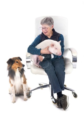 Shetland Sheepdog, pig and woman in front of white background