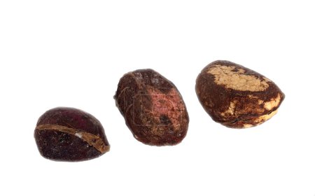 kola nuts in front of white background