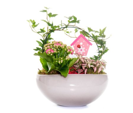 floral and plant composition in front of white background
