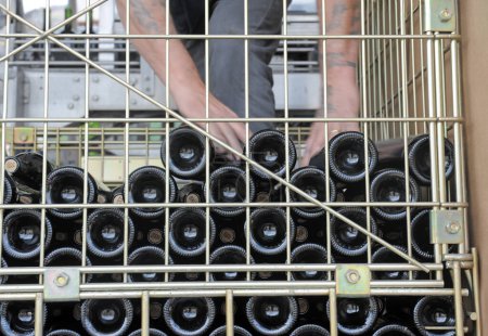 Téléchargez les photos : Groupe de bouteilles de vin dans une coopérative - en image libre de droit