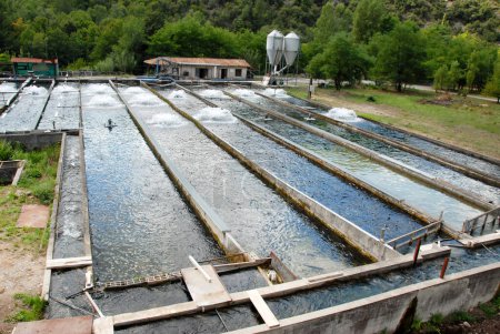 pisciculture face à la nature fond