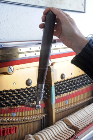 Photo for Picture of a Tuner inside of a piano with little hammer - Royalty Free Image