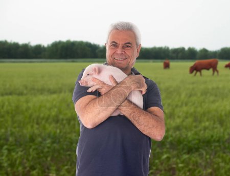 cerdo joven de color rosa y el hombre frente a los campos y la granja