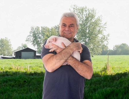 pink young pig and man in front of fields and farm