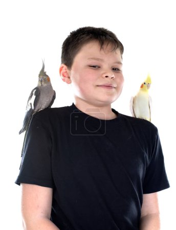 young Cockatiel and boy in front of white background