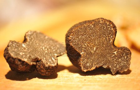 truffes noires, tubercule mélanosporum, sur une table