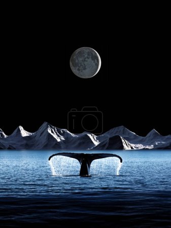Téléchargez les photos : Une nageoire caudale de baleine émergeant des eaux froides de l'Arctique sous un croissant de lune avec Earthshine - en image libre de droit
