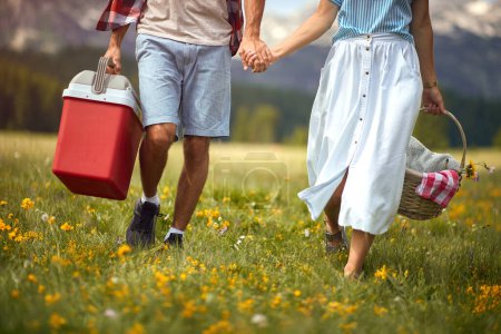 Téléchargez les photos : Détail de jeune couple caucasien adulte tenant la main, marchant dans la nature, portant panier et un réfrigérateur mobile, aller pique-niquer - en image libre de droit