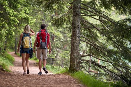 A couple is hiking the forest path on a beautiful day. Trip, nature, hiking-stock-photo