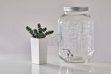 Téléchargez les photos : Table blanche avec plante succulente dans un pot blanc et distributeur d'eau en verre vide contre un mur blanc - en image libre de droit
