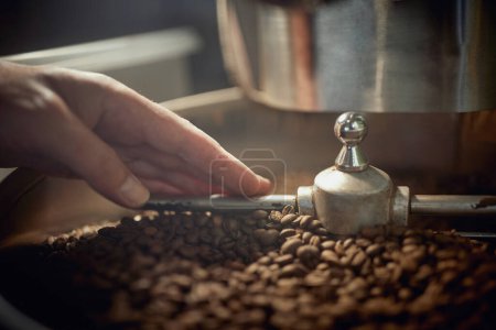 Foto de Detalle de una mano caucásica tocando granos de café en la máquina moderna para mezclar - Imagen libre de derechos