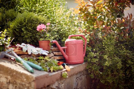 Photo for Collection of gardening tools and accessories. From sturdy shovels and pruning shears to colorful gardening gloves and watering cans, essential equipment needed to cultivate a flourishing garden. - Royalty Free Image