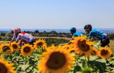 Téléchargez les photos : Villefranche-d'Albigeois, France - 17 juillet 2022 : Le cycliste allemand Simon Geschke à Polka Dot Jersey, chevauchant dans le peloton près d'un champ de tournesols lors de l'étape 15 du Tour de France 2022 - en image libre de droit