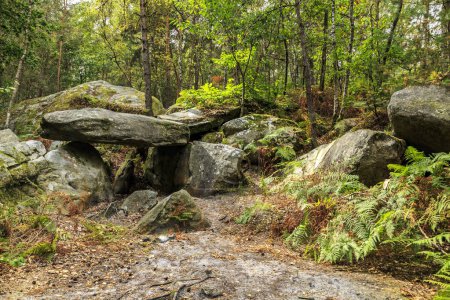 Foto de Specific landscape with rocks and forest in Fontainebleau Forest 60 km from Paris, France. The forest is close to Barbizon where it was a famous paiting school and it is the most popular bouldering destination in the world. - Imagen libre de derechos