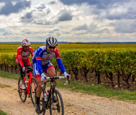 Téléchargez les photos : Noizay, France - 11 octobre 2020 : Rudy Molard de l'équipe Groupama - FDJ et Natnael Berhane de l'équipe Cofidis roulent dans le peloton dans les vignes lors de Paris-Tours 2020 - en image libre de droit