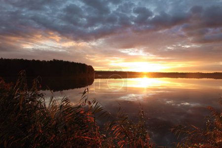 Téléchargez les photos : Lever de soleil sur le lac par une journée d'automne nuageuse. - en image libre de droit