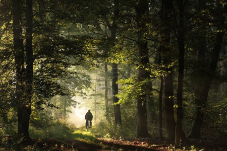 Téléchargez les photos : Un cycliste parcourt la forêt d'automne au lever du soleil - en image libre de droit