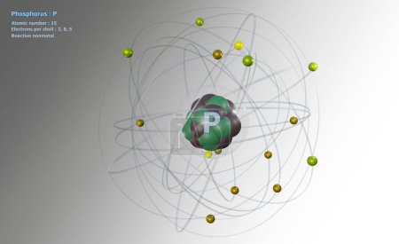 Foto de Átomo de fósforo con núcleo y 15 electrones sobre fondo blanco - Imagen libre de derechos
