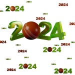 Many Cricket ball 2024 Designs with many Balls on a White Background