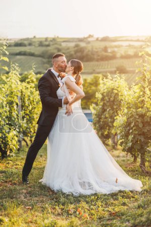 Foto de Románticos recién casados besándose en la puesta de sol en el viñedo el día de su boda. - Imagen libre de derechos