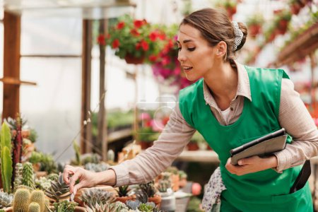 Téléchargez les photos : Jeune fleuriste femme utilisant tablette numérique tout en vérifiant les plantes succulentes dans une serre. Femme entrepreneur. - en image libre de droit