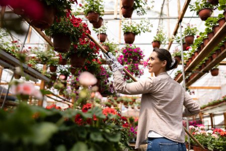 Téléchargez les photos : Attrayant jeune femme travaillant dans le centre de jardin, tenant et arrangeant des pots de fleurs et profitant dans de belles fleurs colorées. - en image libre de droit
