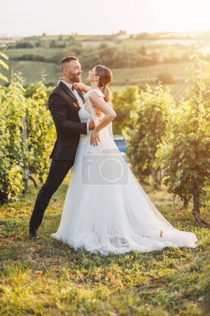 Foto de Una feliz pareja de recién casados abrazándose en el viñedo al atardecer. - Imagen libre de derechos