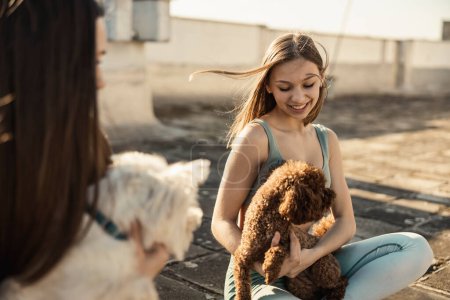 Téléchargez les photos : Two young women playing with their dog pets while doing yoga training on a rooftop terrace. - en image libre de droit