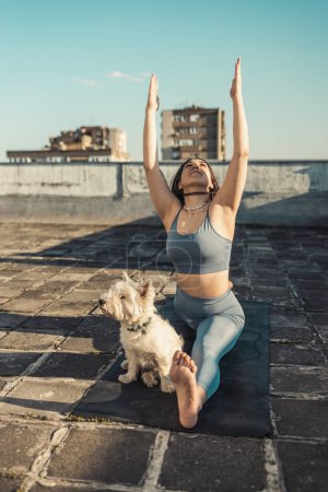 Téléchargez les photos : Femme détendue pratiquant l'exercice de yoga sur un toit soutenu par son chien de compagnie. - en image libre de droit