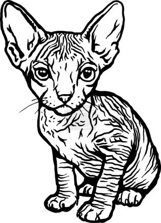 Foto de Gato de la esfinge, Peeking gatito - Gatito alegre aislado en blanco - vector stock illustration - Imagen libre de derechos