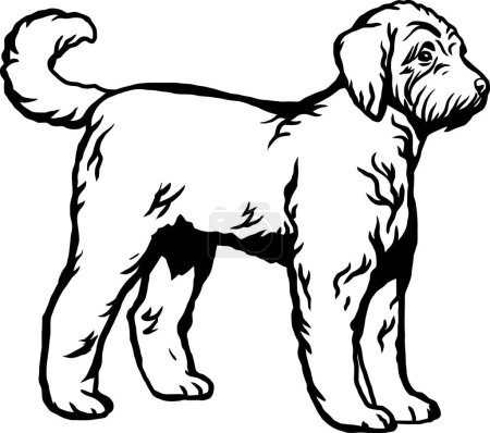 Téléchargez les illustrations : Goldendoodle - Chien de race, Drôle de chien fichier vectoriel, Pochoir coupé, vecteur détaillé - en licence libre de droit